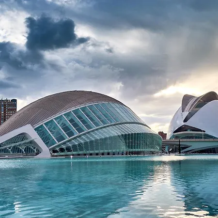 Mediterraneum D
