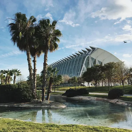 Mediterraneum D Valencia